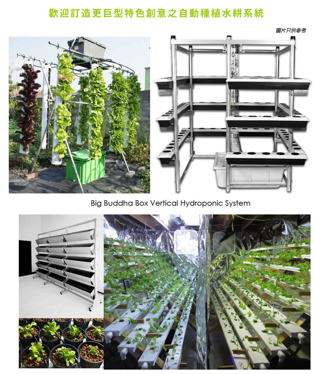 香港訂造水耕系統設備,香港魚菜共生種植系統,定做水耕系統或設計水耕種植系統