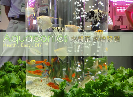 香港水耕菜專門店 水耕設備DIY,水耕菜,天台種植,露台種植 香港水耕菜專門店 水耕設備DIY,水耕菜,天台種植,露台種植