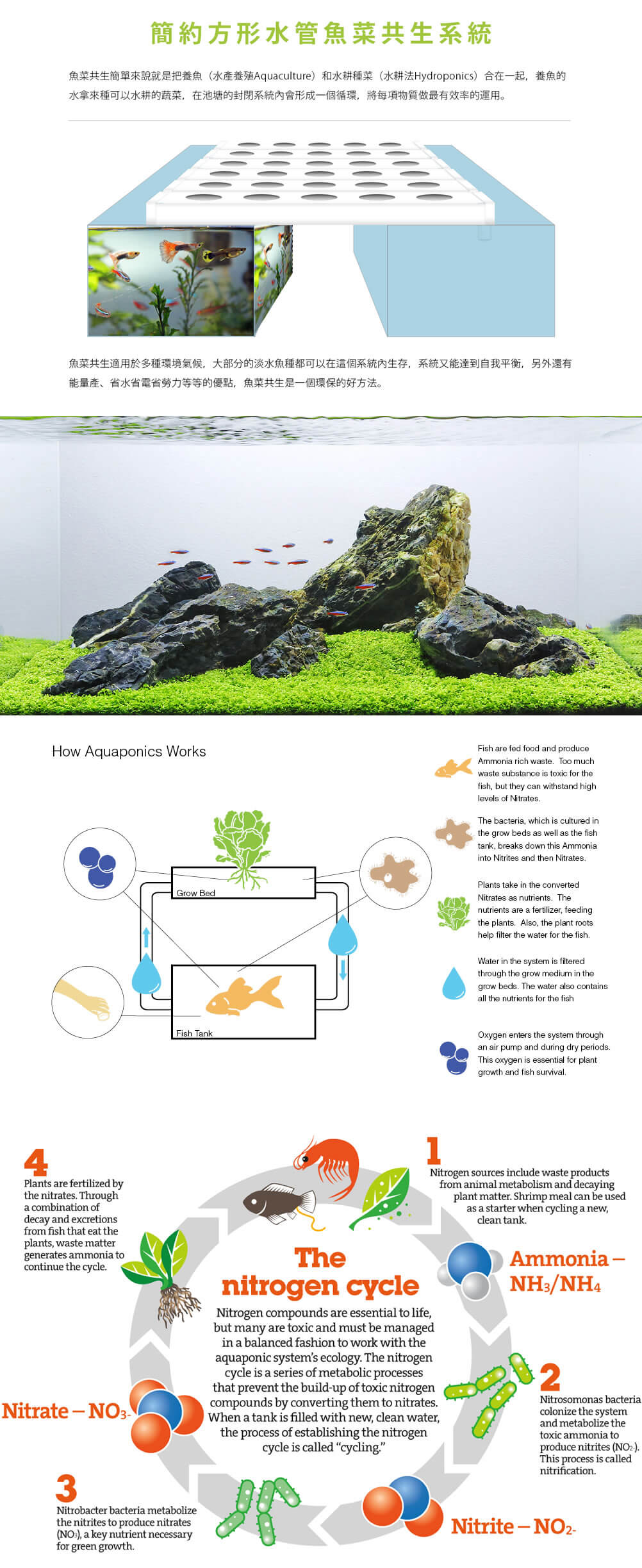 香港魚菜共生系統設備,香港魚菜共生種植,魚菜共生系統購買,水耕種植,營養液,魚菜共生