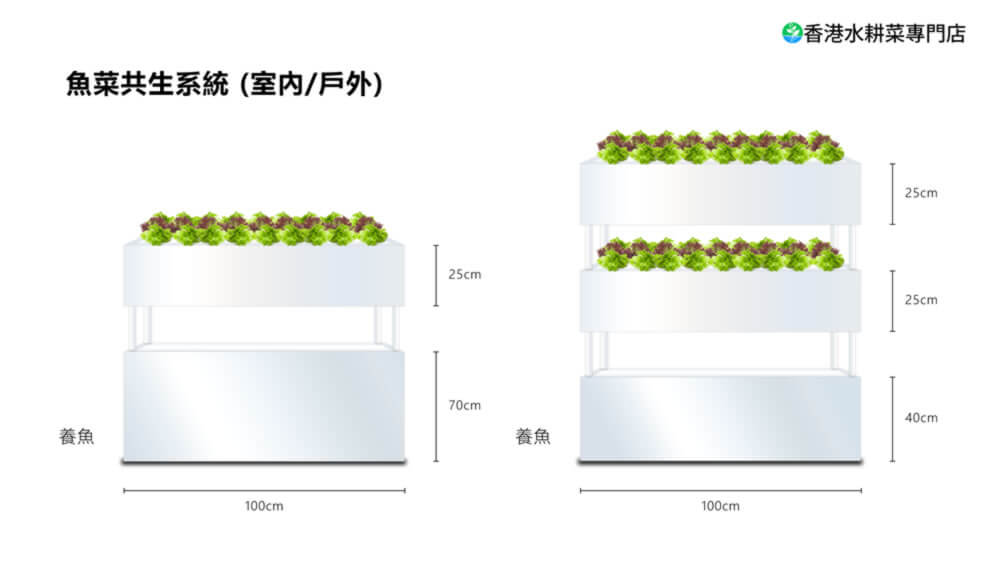 雙層高級家居魚菜共生設備系統