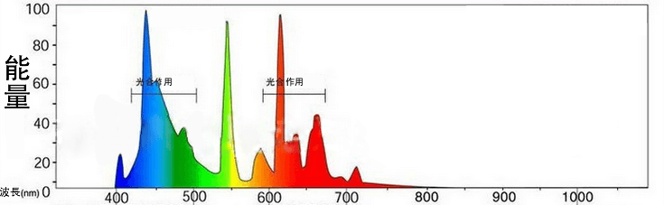 LED 植物燈